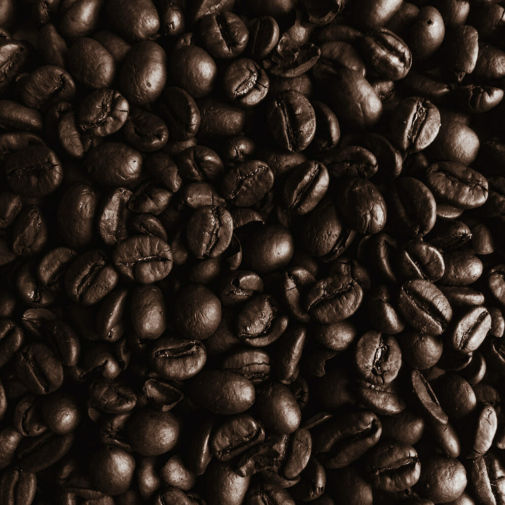 파푸아뉴기니 커피와 블루마운틴 커피의 특별한 관계